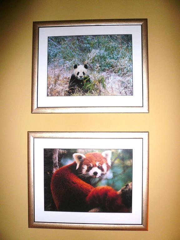 Panda Villa Edinburgh Buitenkant foto
